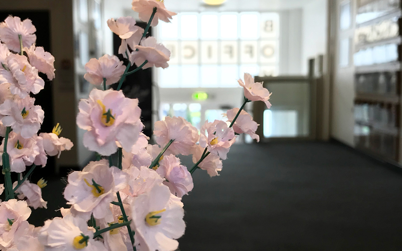 Opening Times (Box Office & Admin) Memo Arts Centre, Barry