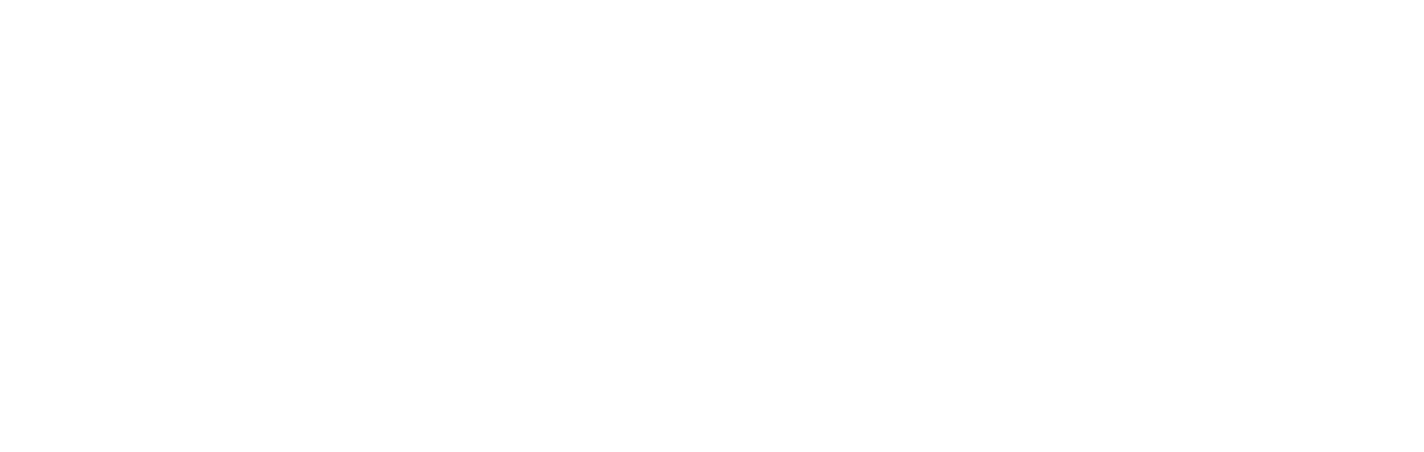 BFI Film Audience Network