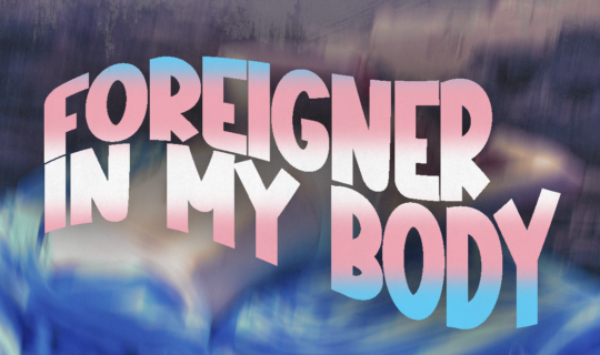 WEB BANNER IMAGE