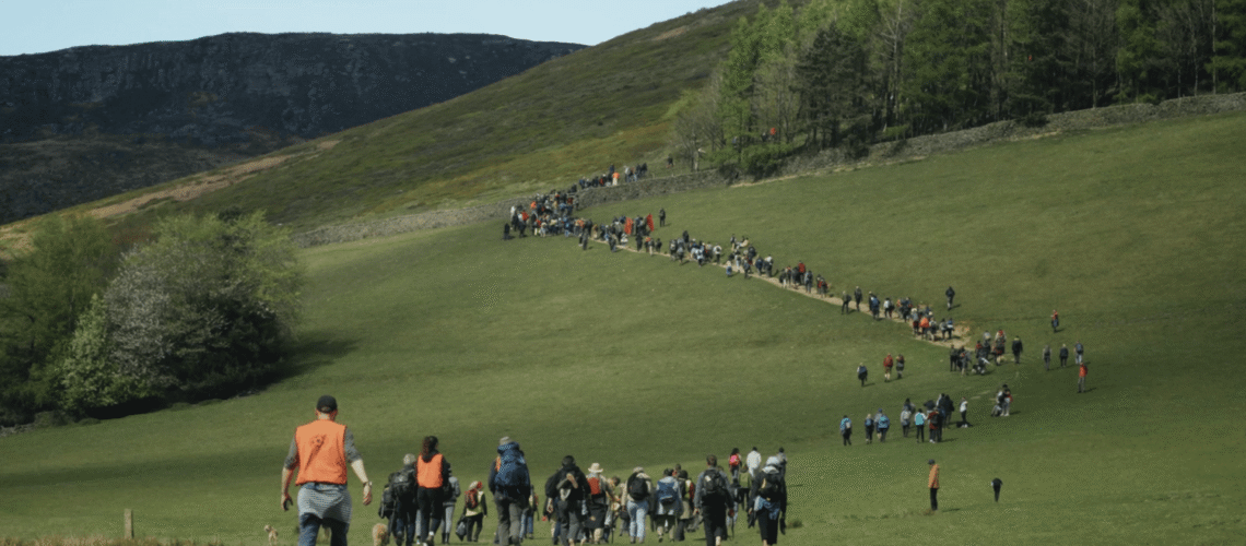 Website Listings Template (6)