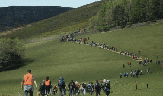 Website Listings Template (6)