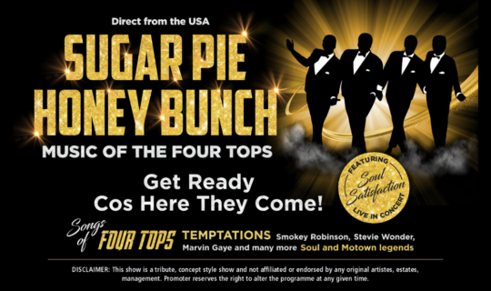 Website Listings Template (16)